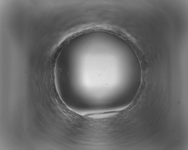 X0000080801496200701021236