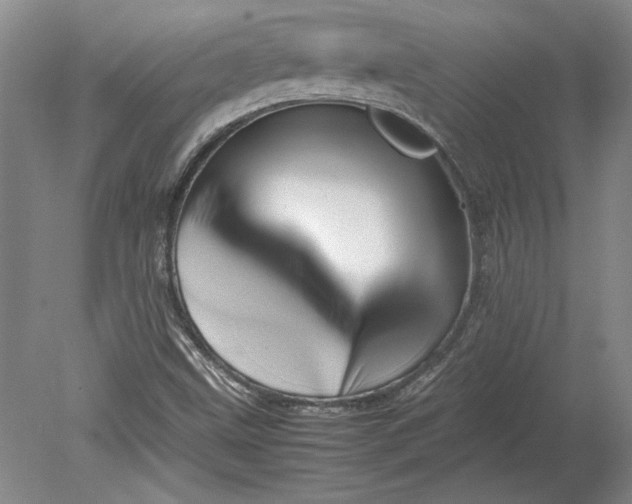 X0000080801499200701021236