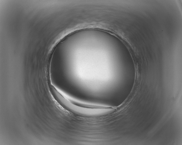 X0000080801500200701021236