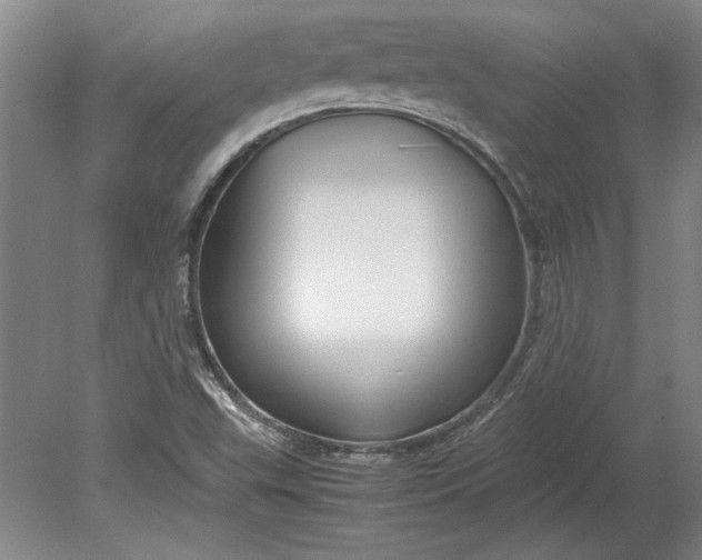 X0000080801503200701021236