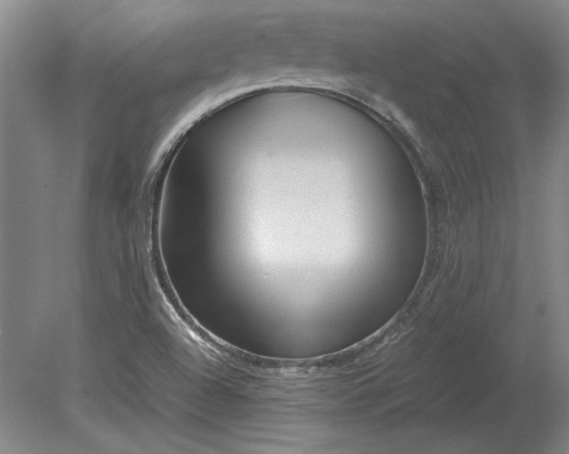 X0000080801504200701021236