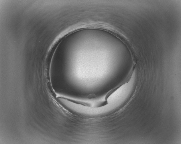 X0000080801506200701021236