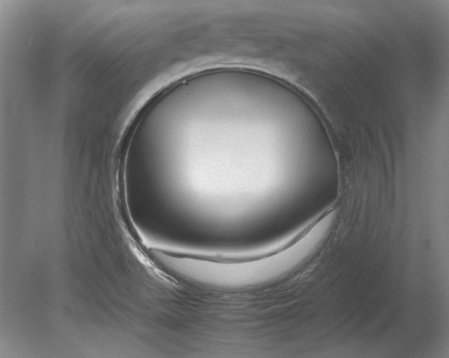 X0000080801511200701021236