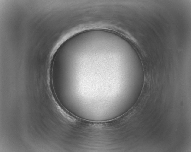 X0000080801512200701021236