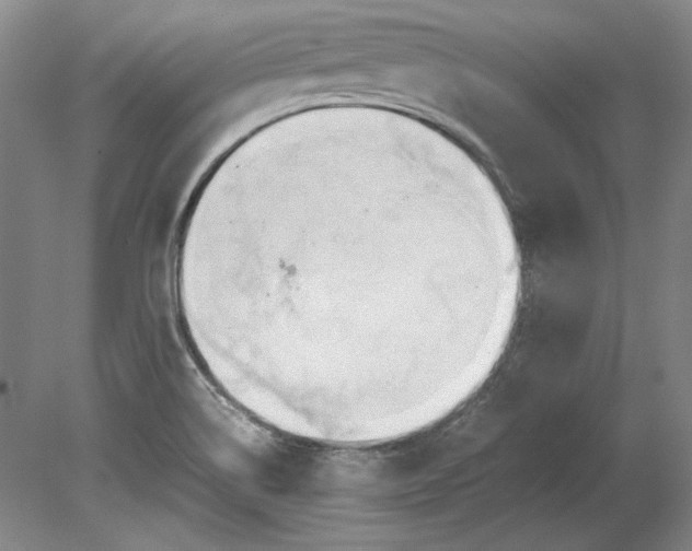 X0000080801514200701021236