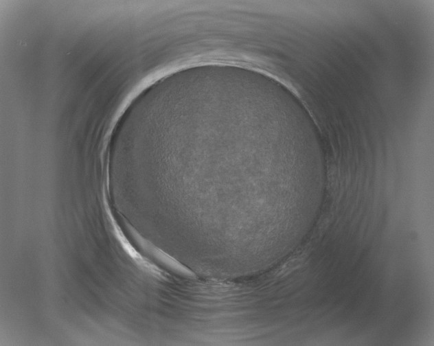 X0000080801515200701021236