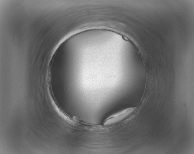 X0000080801526200701021237