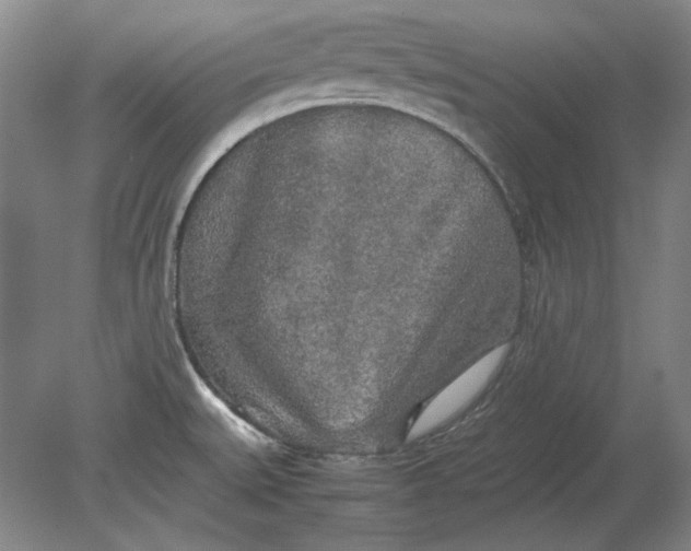 X0000080801527200701021237