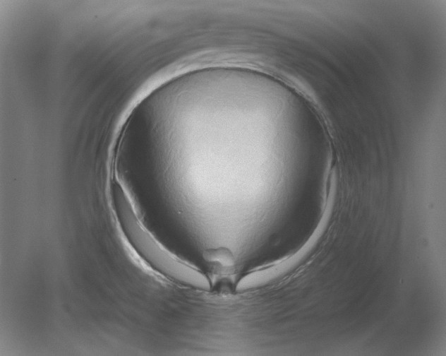 X0000080801528200701021237