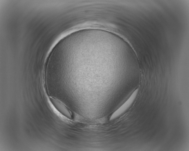 X0000080801531200701021237