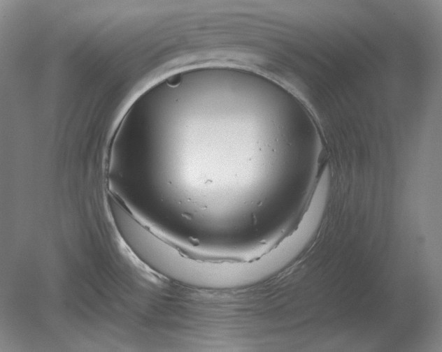 X0000080801532200701021237