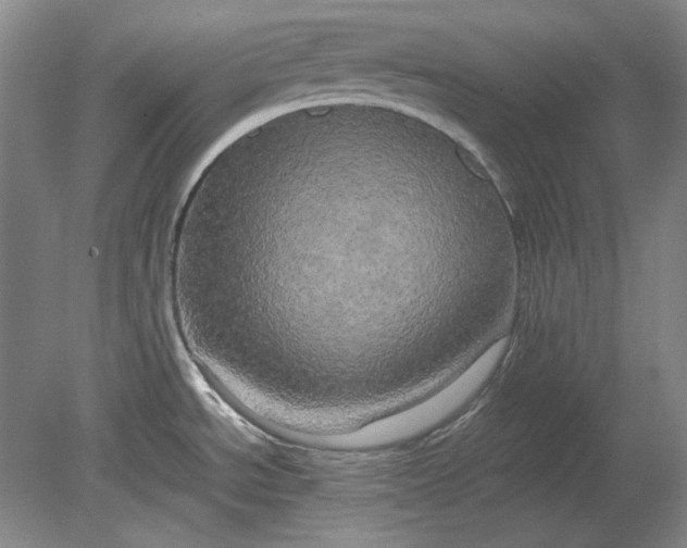 X0000080801534200701021237