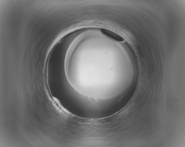 X0000080801536200701021237