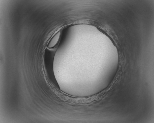 X0000080800001200701051431