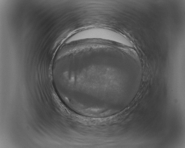 X0000080800002200701051431