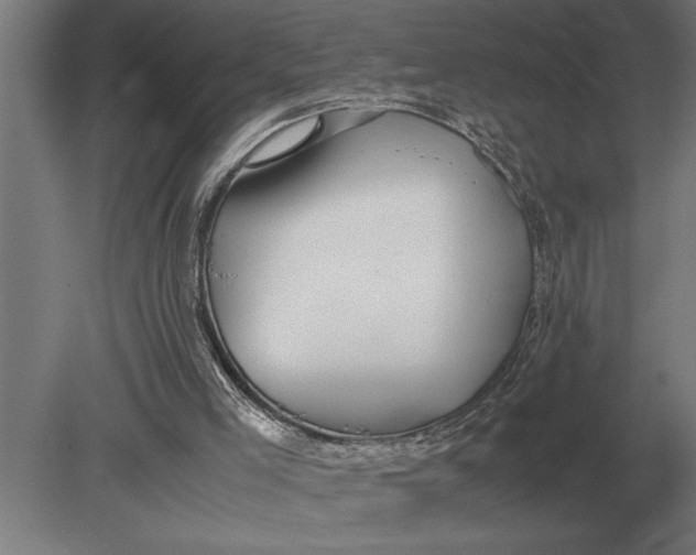 X0000080800005200701051431