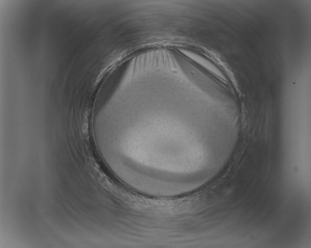 X0000080800010200701051431