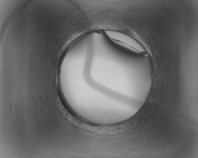 X0000080800011200701051431