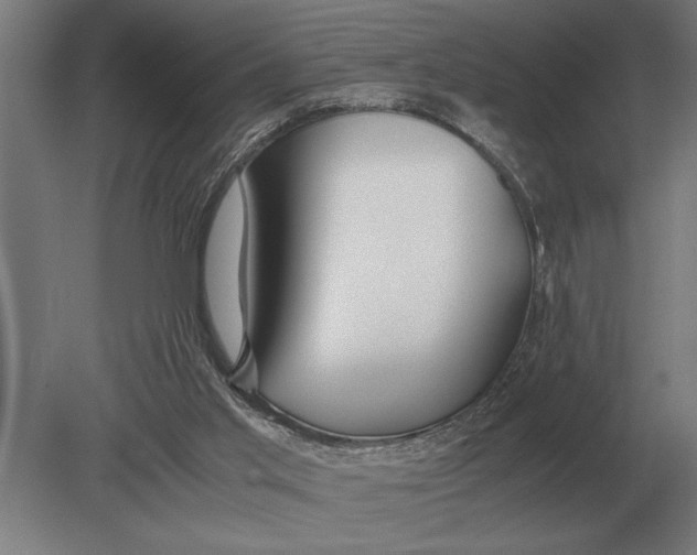 X0000080800013200701051431