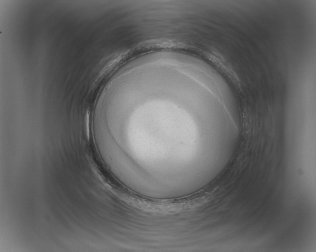 X0000080800014200701051431