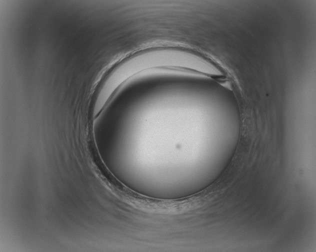 X0000080800015200701051431