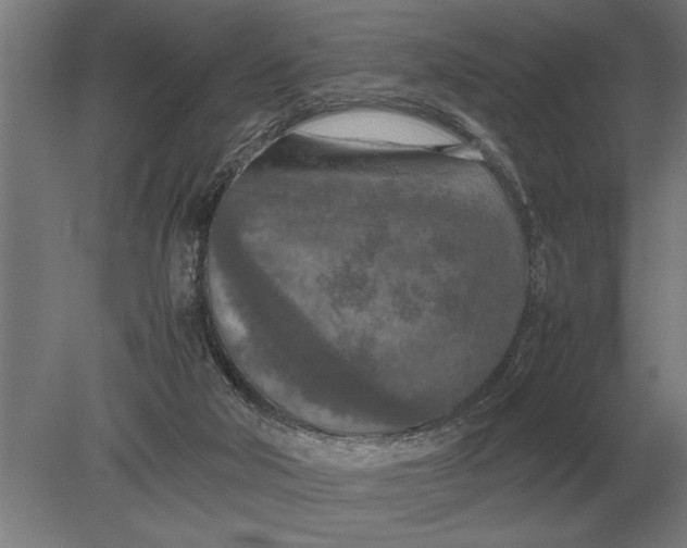 X0000080800018200701051431