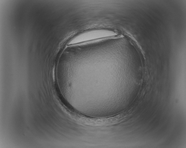 X0000080800019200701051431