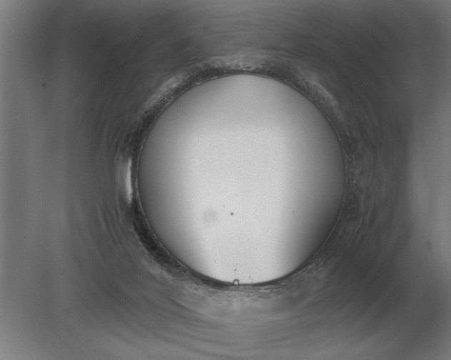 X0000080800020200701051431