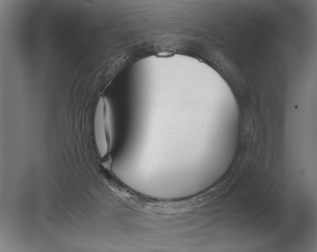X0000080800025200701051431