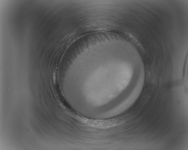 X0000080800026200701051431