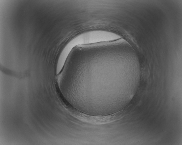 X0000080800027200701051431