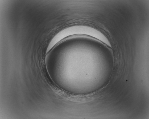 X0000080800029200701051431