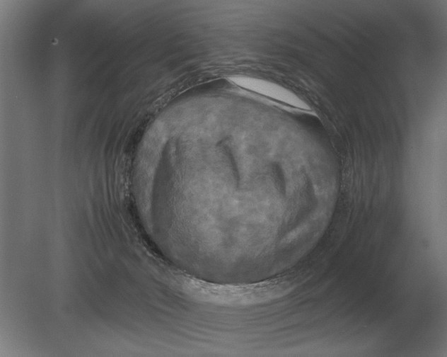 X0000080800030200701051431