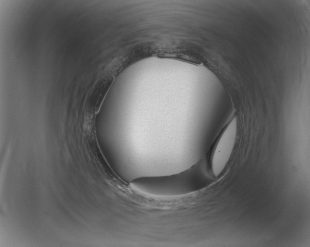 X0000080800033200701051431
