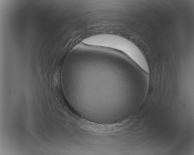 X0000080800035200701051431