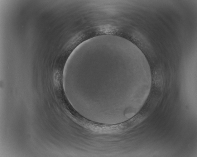 X0000080800036200701051431