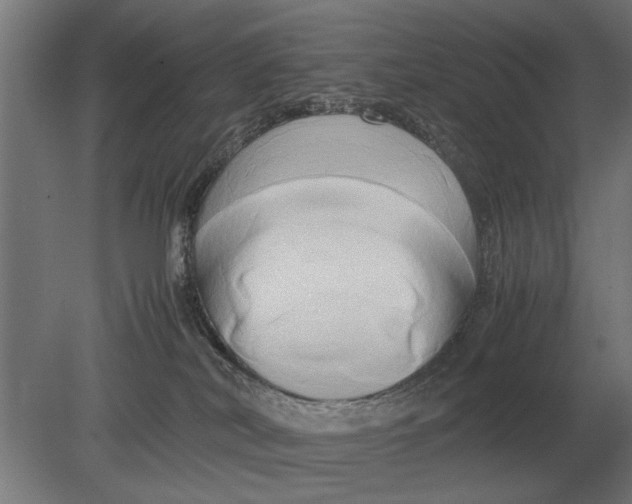 X0000080800038200701051431