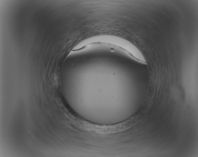 X0000080800039200701051431