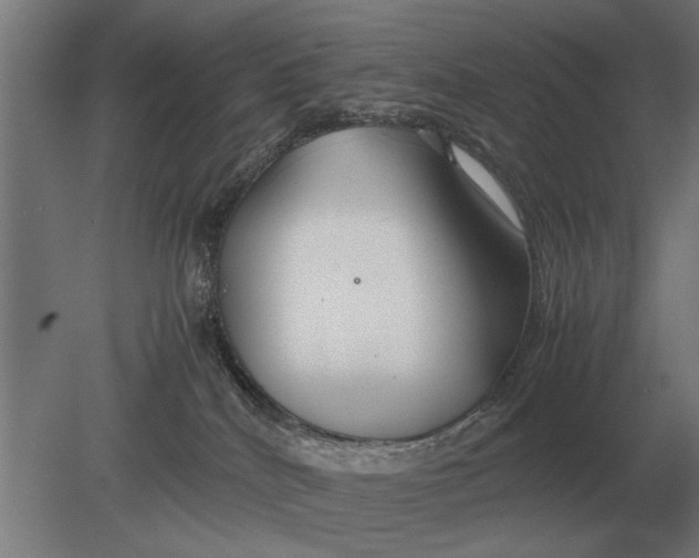 X0000080800040200701051431