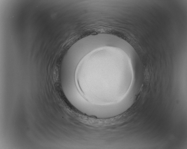 X0000080800043200701051431