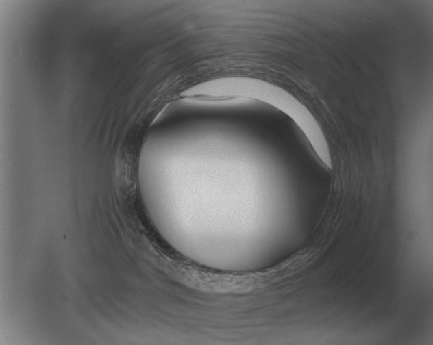 X0000080800044200701051431