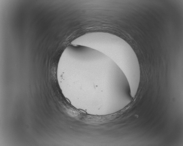 X0000080800045200701051431