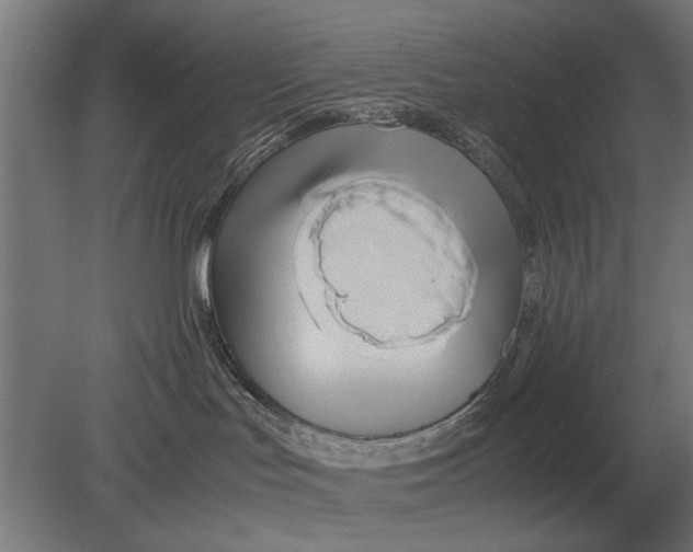 X0000080800047200701051430
