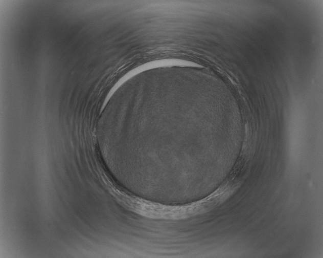 X0000080800048200701051430