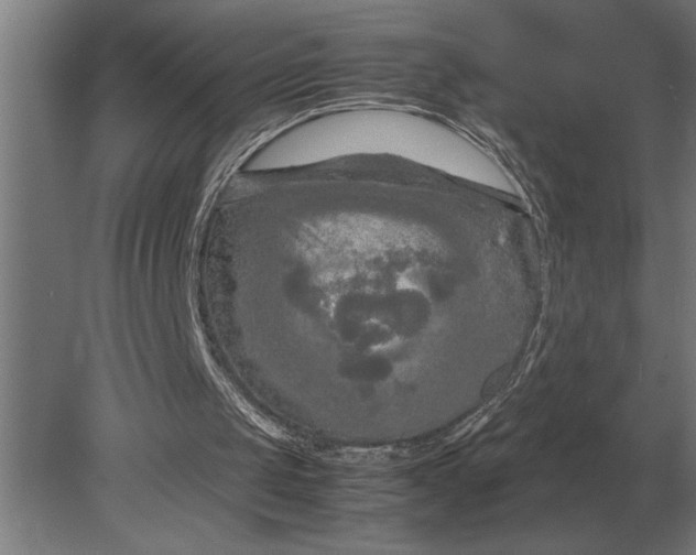 X0000080800049200701051430
