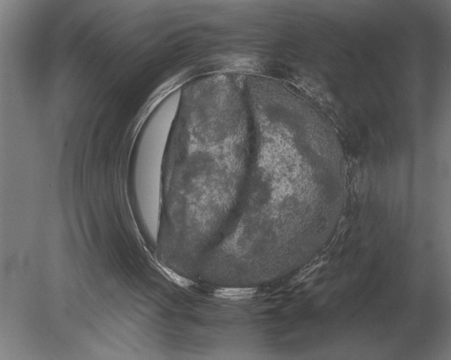 X0000080800051200701051430