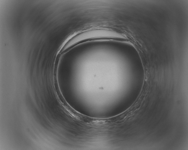 X0000080800052200701051430