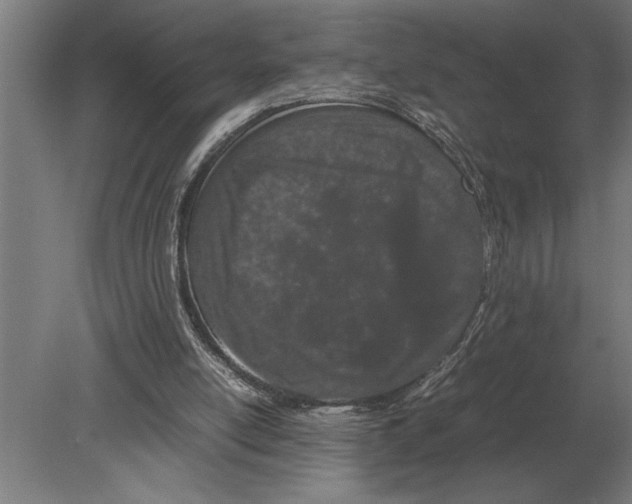 X0000080800054200701051430