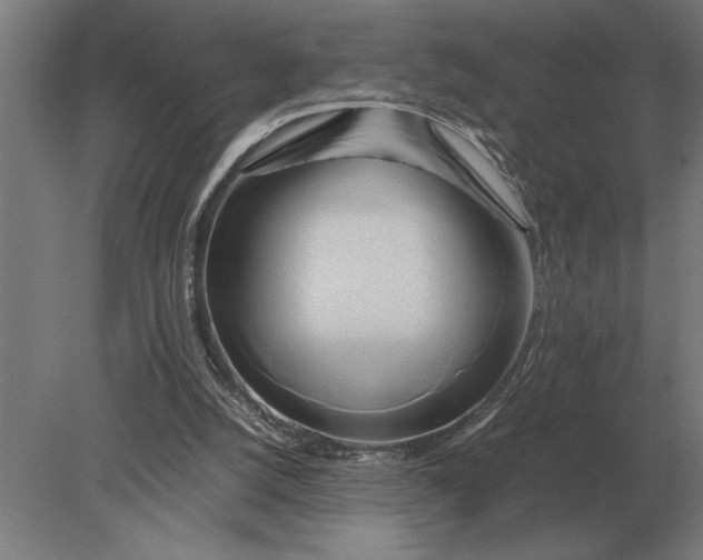 X0000080800056200701051430