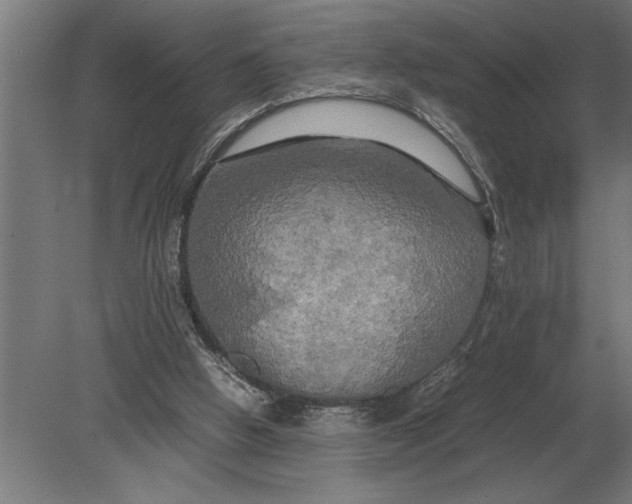X0000080800058200701051430